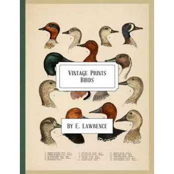 Kniha Vintage Prints: Birds – E Lawrence (EN)