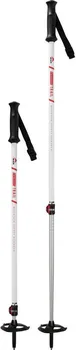 Trekingová hůl MSR DynaLock Trail Poles bílé 100-140 cm