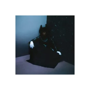 Zahraniční hudba Nobody's Home / Coloured / Vinyl - Bakar [LP]