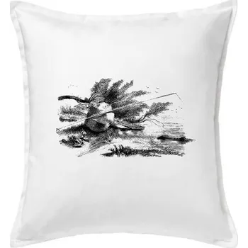 Polštář Kreslený prut opřený o kámen - Polštář 50x50 - 50x50 - Včetně výplně ( Bílá )