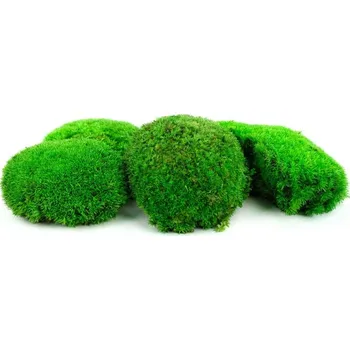 umělá květina Stabilizovaný mech bochánky 0,3 kg - zelený (kopečkový mech)