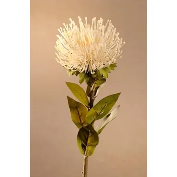 umělá květina Paramit DRY PROTEA Aranžovací květina bílá 73 cm