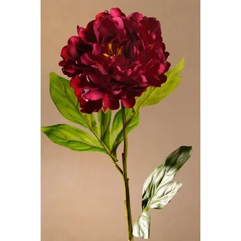 umělá květina Paramit BLOOMING PEONY Aranžovací květina vínová 77 cm