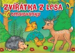 Zvířátka v lese - Almatyne (2021, měkká)