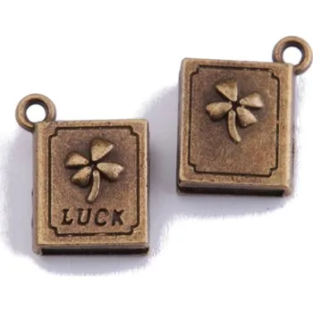 Přívěsek Přívěsek KNIHA, 14x17mm, 2ks