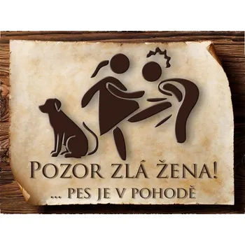 Plechová cedule 9016 Cedulka - Zlá žena