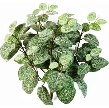 umělá květina Umělá popínavá rostlina Fittonia popínavý premium, průměr 30cm