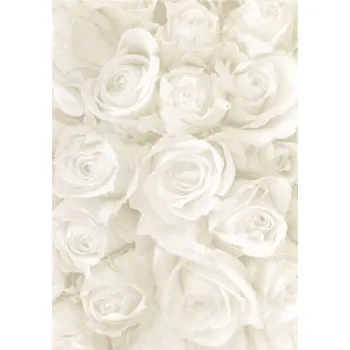 Umělecký papír Ursus Čtvrtka perleťová A4 (5ks) svatební růže - bílá 240g/m2