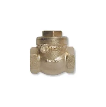 Ventil Pumpa BUG180 Zpětná klapka 3/4" 987887