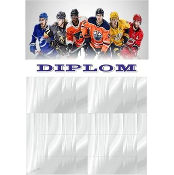 ETROFEJE diplom 09 hokej