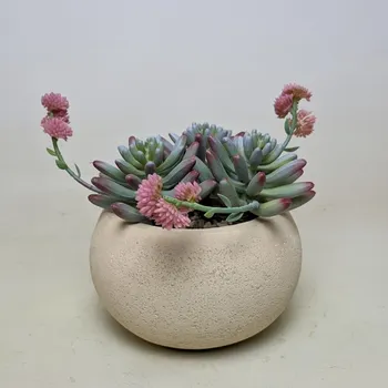 umělá květina Umělý sukulent Funny 21cm - Do interiéru