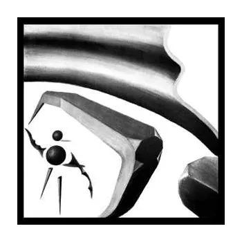 Zahraniční hudba LP Carl Erdmann: Bizzarrophytes 2022