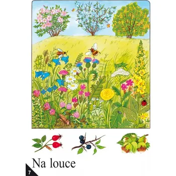 Výuková hračka SOUBOR NÁSTĚNNÝCH OBRAZŮ pro prvouku ve 2. ročníku (092723) - Ilustrovala Marie Tichá