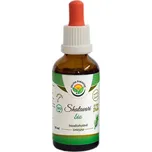 Salvia Paradise Shatavari bezalkoholová tinktura tinktura pro podporu správné hormonální činnosti 50 ml