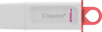 USB flash disk Kingston DataTraveler Exodia 256 GB White/Pink (KC-U2G256-5R)
