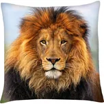 Polštář ANIMAL 42 - LEV Mybesthome 40x40 cm Varianta: Povlak na polštář s prošívanou výplní, 40x40 cm