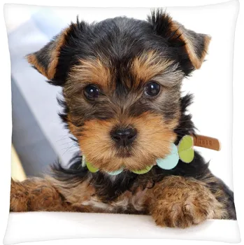 Polštář s motivem psa 31 Mybesthome 40x40 cm Varianta: Povlak na polštář s prošívanou výplní, 40x40 cm