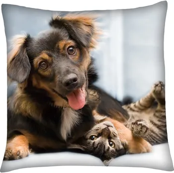 Polštář Polštář s motivem psa 11 Mybesthome 40x40 cm Varianta: Povlak na polštář, 40x40 cm