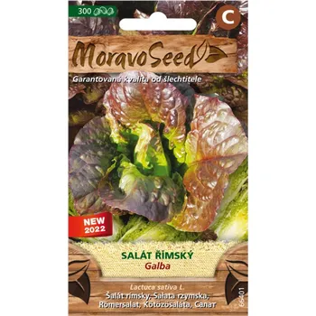 Semeno MoravoSeed Salát římský Galba 300 ks