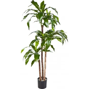 umělá květina Umělá palma Dracena FRAGRANS deluxe, 150cm