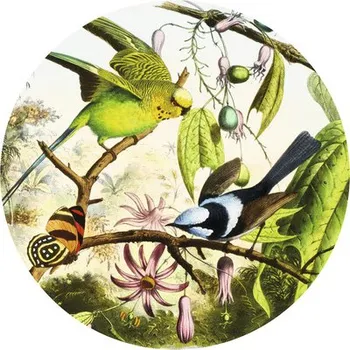 Fototapeta Fototapeta vliesová Pták 2 95 cm