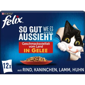 FELIX So gut wie es aussieht v želé rozmanitost chutí země 12× 85 g