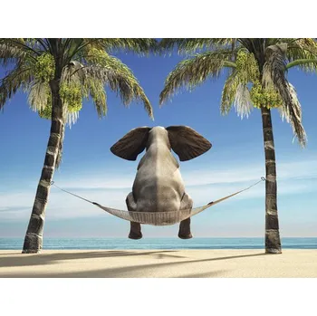 Fototapeta Fototapeta vliesová Slon 243x184 cm