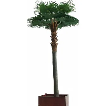 umělá květina Exkluzivní umělá palma Camerus Royal palma, 500cm