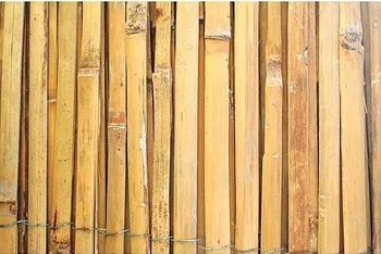 zahradní zástěna Strend Pro Stínící bambus