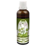Naděje Pelargonie tinktura z byliny T31 50 ml