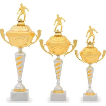 Fotbalový pohár 22520