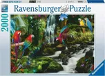 Ravensburger Barevní papoušci v džungli…