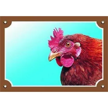 Dafiko Tady bydlím já! Slepice