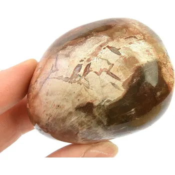 Přírodní kámen Zkamenělé dřevo z Madagaskaru 125g