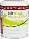 HillVital Master balzám 250 ml