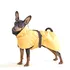 Obleček pro psa Paikka Recovery Raincoat 20 cm