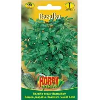 Pěstitelství Bazalka zelená
