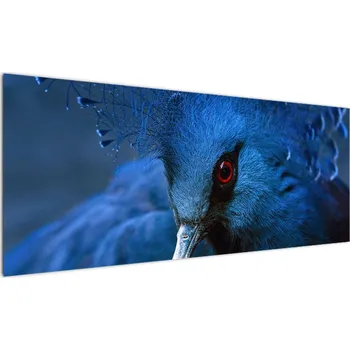 Obraz LuxusniObrazy.cz Obraz - Holub korunovaný