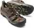 Pánské sandále Keen Arroyo II M Slate Black/Bronze Green