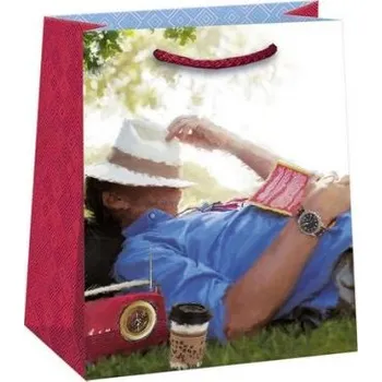 Dárková taška ARGUS Dárková papírová taška T4 (19 x 23 cm) 07470688