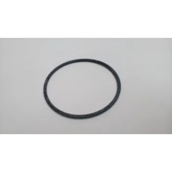 Pooltechnika Těsnění pod víčko čerpadla NIPER