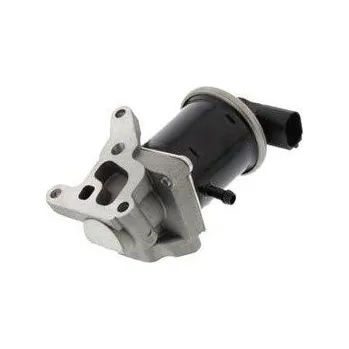 Ventil palivového systému AGR-Ventil MAGNETI MARELLI 571822112068