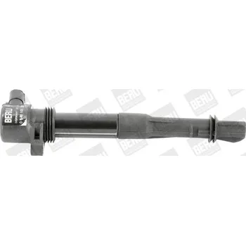 Zapalovací cívka Zapalovací cívka BorgWarner (BERU) ZS320