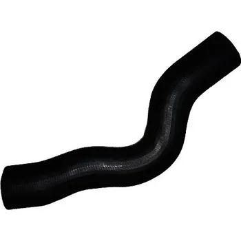 Hadička plnicího vzduchu BUGIAD 88629