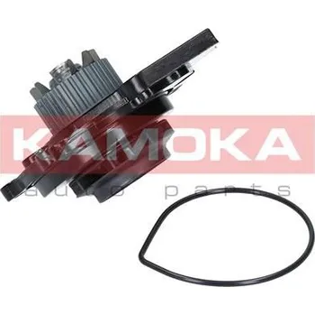 Motor automobilu Vodní čerpadlo, chlazení motoru KAMOKA T0031