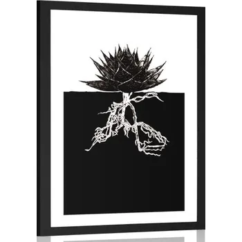 Plakát Dovido Plakát s paspartou nesmrtelnost rostliny