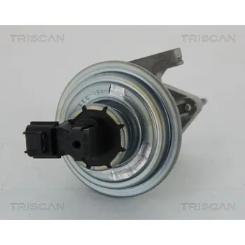 Ventil palivového systému AGR-Ventil TRISCAN 8813 16045