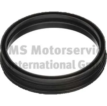 Palivový systém Těsnění, přípojka palivové nádrže PIERBURG 3.32038.03.0