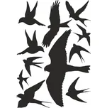 Silueta dravce proti narážení ptáků - samolepící fólie - 11 dravců na archu 30 x 40 cm Dravci - černá samolepící fólie - 11 dravců na archu 30 x 40 cm, Kód: 25127