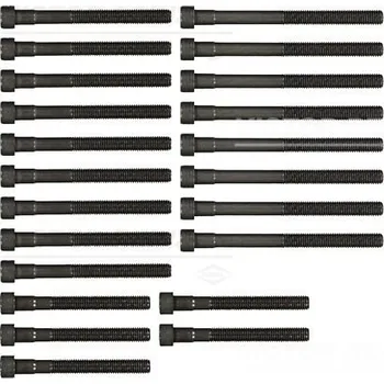 Spojovací materiál motoru Sada šroubů hlavy válce VICTOR REINZ 14-32032-02